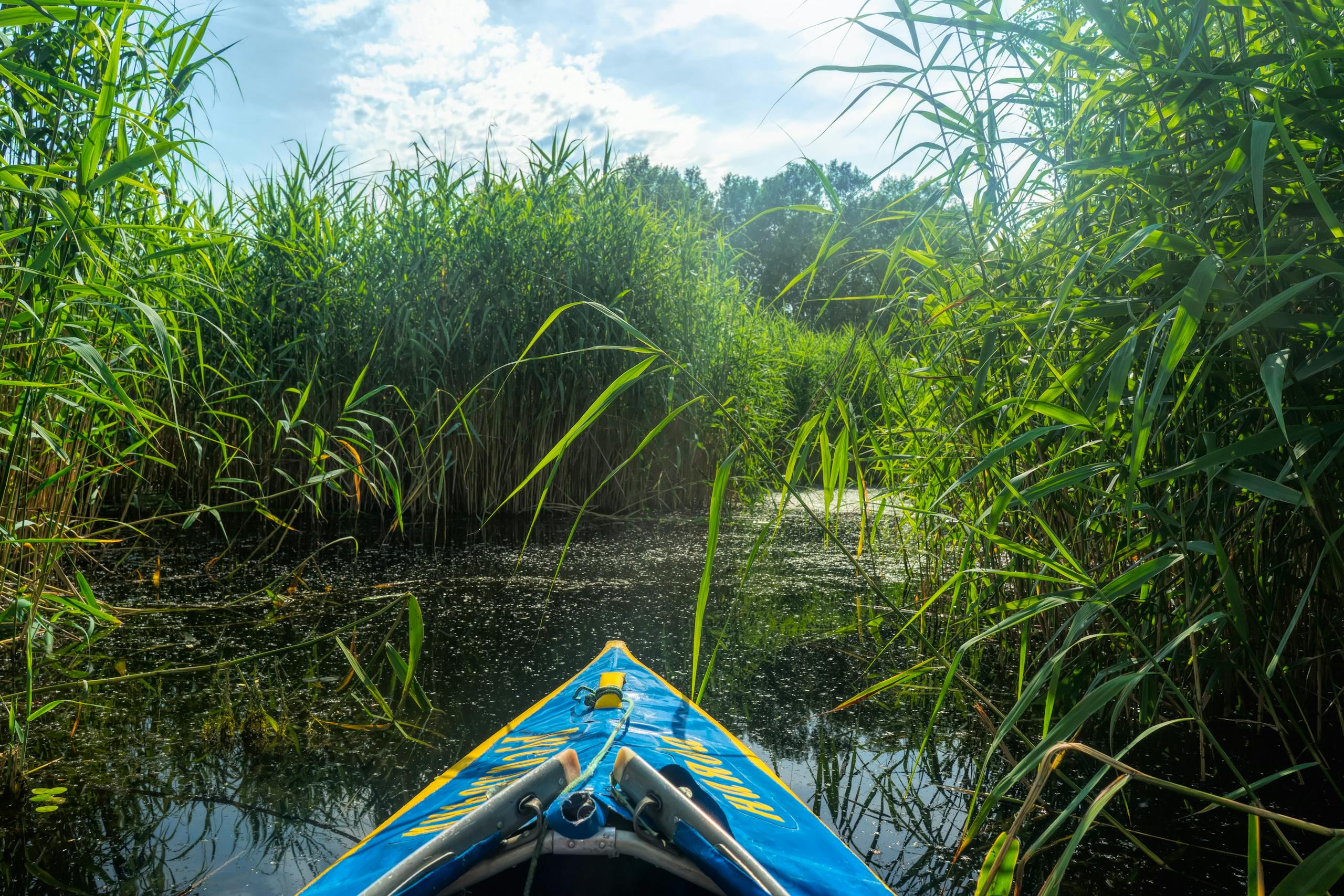 A peaceful kayak journey through lush reeds on a calm river in Kherson, Ukraine, under a bright sky.